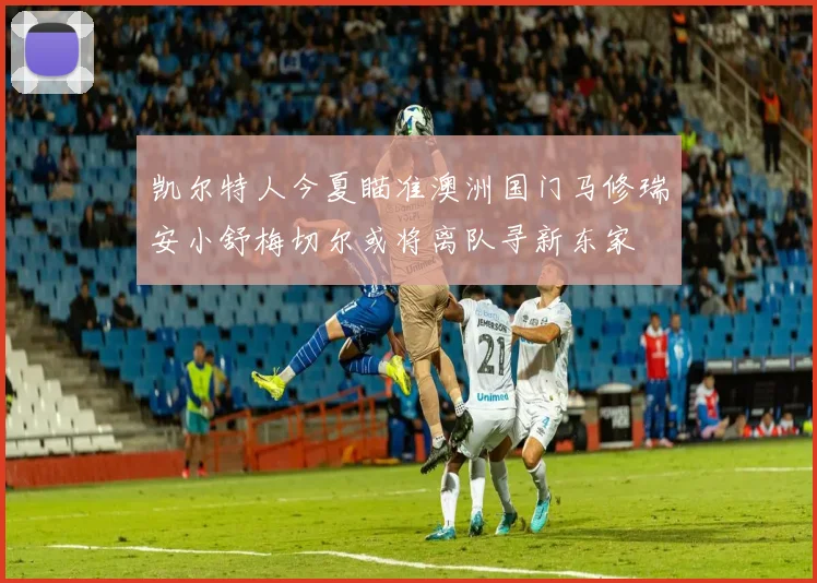 凯尔特人今夏瞄准澳洲国门马修瑞安小舒梅切尔或将离队寻新东家